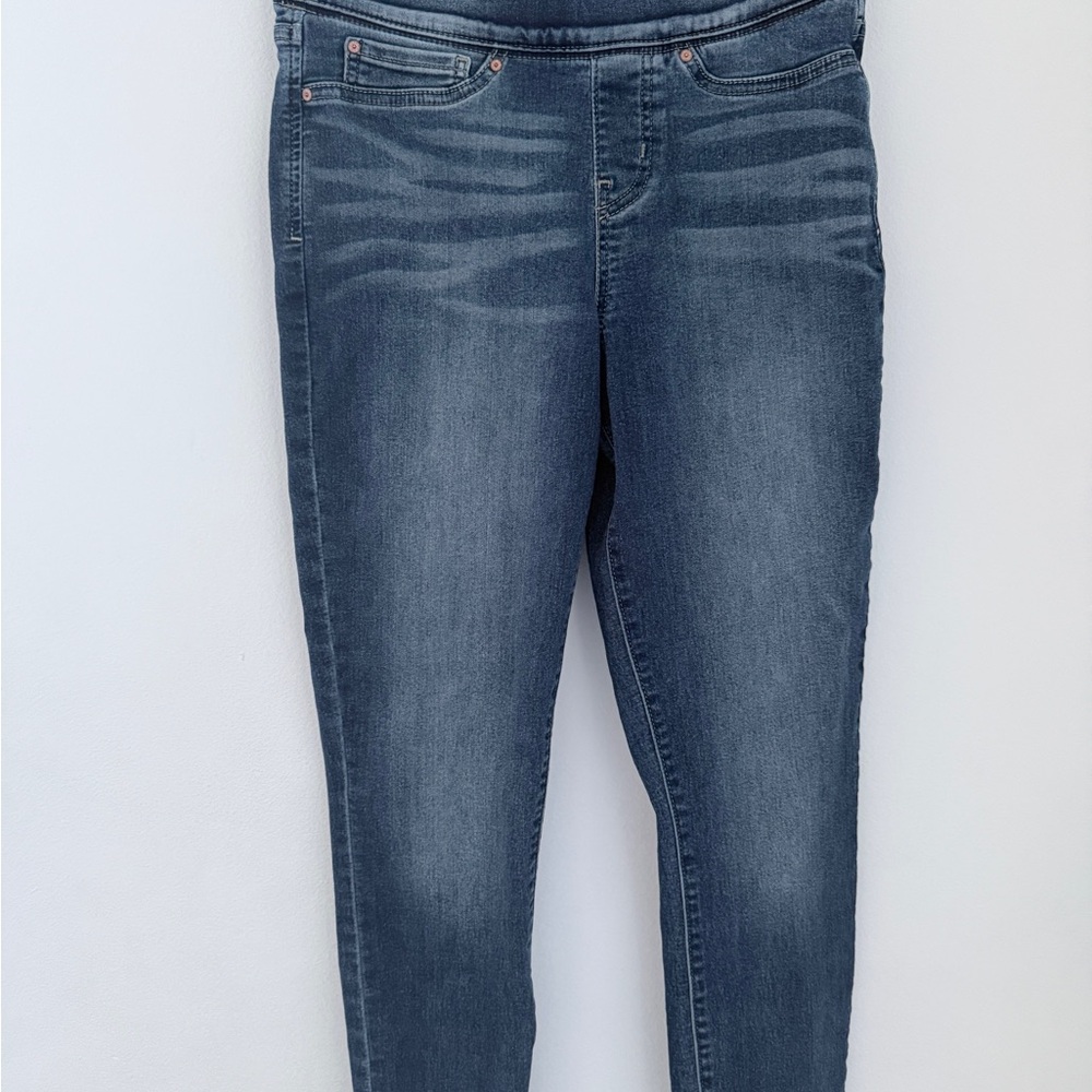 Levi Strauss & Co. Signature Gold Pull-On Skinny Jeans –Dark Wash Women’s medium